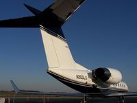 N200LS @ PDK - Tied down @ Mercury Air Center - by Michael Martin