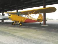 N83352 @ 0O5 - Classic Aerona as NC83352 at University Airport, Davis, CA - by Steve Nation