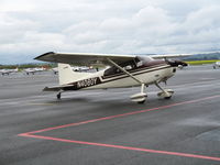 N4080Y @ APC - Gassing up on Bridgeford ramp @ Napa County Airport, CA - by Steve Nation