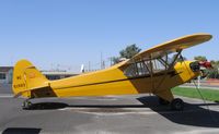 N51503 @ 1O3 - 1942 Piper J3C-65 Cub (as NC51503) @ Lodi Airport, CA - by Steve Nation