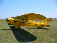 N88146 @ KLAL - Piper J-3
