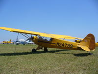 N24739 @ KLAL - Piper J-3 - by Mark Pasqualino
