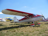 N1659V @ KLAL - Cessna 140 - by Mark Pasqualino