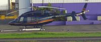 N533HC - VIP transport - by Joy