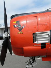 N28FL @ APC - Blackbird nose art on 1955 North American T-28B BuAer 138292 @ Napa County Airport, CA - by Steve Nation