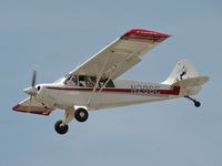 N286C @ VGT - Privately Owned / 1999 Aviat Aircraft Inc A-1B - by SkyNevada - Brad Campbell