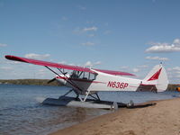 N636P @ MN78 - PA-18S - by Glenn Johnson