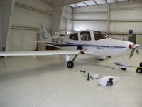 N527TR - Deer Strike Photo 1 - by Anonymous