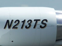 N213TS photo, click to enlarge