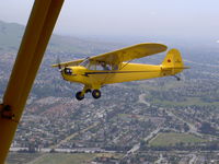 N25880 - Piper Cub over Fremont - by Matt Gregory