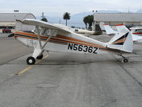 N5636Z @ CNO - 1962 Piper PA-22-108 @ Chino Municipal Airport, CA - by Steve Nation