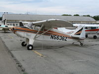 N5636Z @ CNO - 1962 Piper PA-22-108 @ Chino Municipal Airport, CA - by Steve Nation