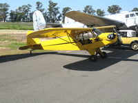 N30669 @ VCB - 1940 Piper J3C-65 Cub as NC30669 @ Nut Tree Airport, Vacaville, CA - by Steve Nation