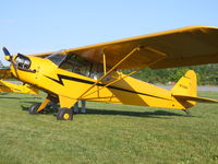 N7134H @ BQR - Another nice Cub, at EAA Fly-in