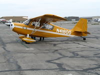 N41800 @ CNO - 1973 Bellanca 7ECA @ Chino Municipal Airport, CA - by Steve Nation