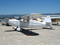 N97372 @ WVI - Beautiful 1946 Stinson 108 on sunny June day @ Watsonville Airport, CA - by Steve Nation