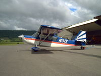 N31X - Super Decathlon - by craig hilling