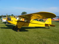 N6113H @ 7V3 - Piper J-3C-65 - by Mark Pasqualino
