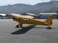 N71044 @ SZP - 1946 Piper J3-C CUB, Continental A&C65 65 Hp, taxi - by Doug Robertson