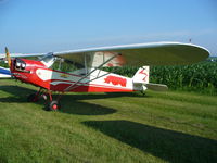 N70379 @ C55 - Piper J-3C-65 - by Mark Pasqualino