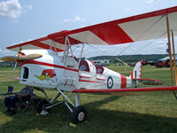 C-GMTH @ D52 - Another one of the Tiger Boy's Moths