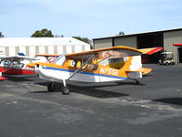 N75SE @ PAO - Andy's FS 2005 American Champion 7GCAA @ Palo Alto Municipal Airport, CA - by Steve Nation