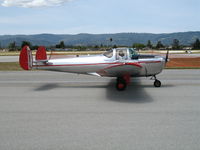 N93716 @ WVI - 1946 Ercoupe 415-C as NC93716 taxying @ Watsonville Municipal Airport, CA - by Steve Nation