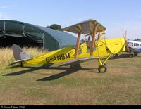 G-ANSM - Tiger Moth - by Simon Palmer