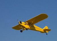 N42303 @ CBF - Cub - by William H. Maxey