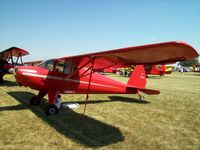 N23008 @ KOSH - Luscombe 8A - by Mark Pasqualino