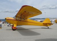 N36165 @ WVI - 1941 Taylorcraft BC-12-65 (as NC36165) @ Watsonville Municipal Airport, CA - by Steve Nation