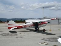 N2536C @ WVI - 1954 Cessna 170B @ fly-in Watsonville, CA - by Steve Nation