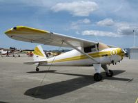 N1474B @ WVI - 1948 Luscombe 8F @ fly-in Watsonville, CA - by Steve Nation