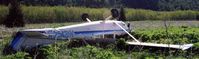 N21545 - Dead Airplane in Alaska - by Aircraft owner