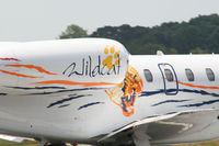 N68LP @ PDK - Tail Art - by Michael Martin