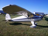 N71955 @ C77 - Luscombe 8A - by Mark Pasqualino