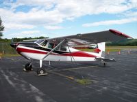 N2343C @ KCNH - Cessna 180