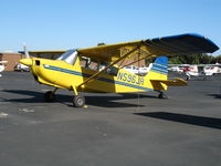 N596JR @ PAO - Caeli Bona 2004 Champion 7ECA @ Palo Alto Municipal Airport, CA - by Steve Nation