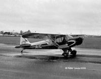 ZK-AHE @ DUD - Piper J-3 Cub C.50 - by Peter Lewis