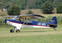OO-SPJ - Piper PA-18 - by Volker Hilpert