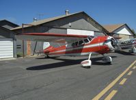 N1533D @ SZP - 1952 Cessna 195 BUSINESSLINER, Jacobs R755A 300 Hp - by Doug Robertson