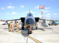 ZG791 @ LMML - PANAVIA TORNADO