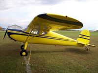 N2814N @ KFBL - Cessna 120 - by Mark Pasqualino