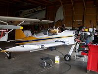 N500DD @ KFBL - RV-6 - by Mark Pasqualino
