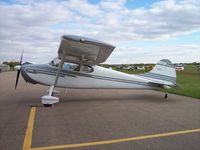 N1932V @ KFBL - Cessna 170 - by Mark Pasqualino