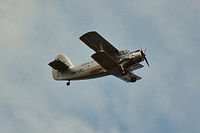 DM-SKL photo, click to enlarge