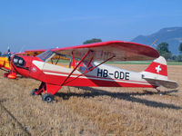 HB-ODE @ LSZF - Airdisplay at Kestenholz - by eap_spotter