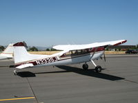 N333SJ @ PRB - 1974 Cessna A185F @ Paso Robles Municipal, CA - by Steve Nation