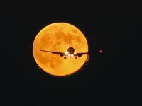 N26208 @ KLAS - Continental Airlines / 2000 Boeing 737-824 / My luckiest shot ever! - by Brad Campbell