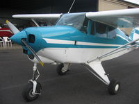 N6931D - The mighty TriPacer - by SHK